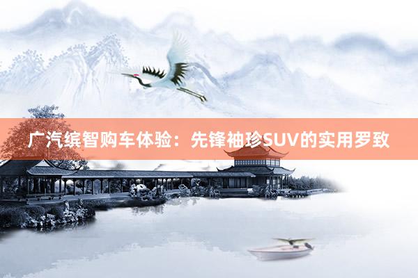 广汽缤智购车体验：先锋袖珍SUV的实用罗致